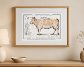 Le boeuf beef cuts - Old vintage meat cut scheme - slaughterhouse butchery educational charts