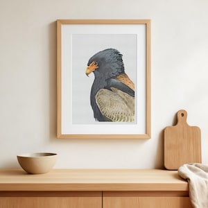 Vintage Bateleur Adler Poster - Antike Vogel-Illustration Bild 1