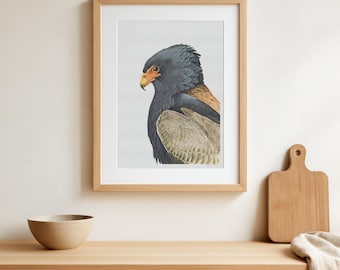 Poster vintage con aquila Bateleur – Stampa con illustrazione di uccelli antichi