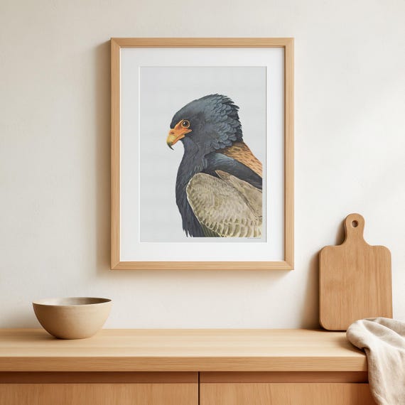 Vintage Bateleur Eagle Poster – Antique Bird Illustration Print