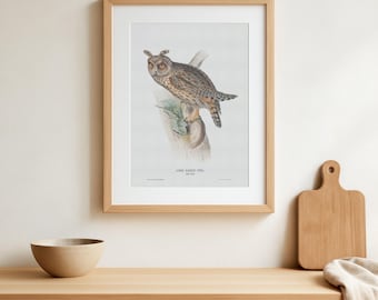 Long-Eared Owl Vintage Poster – Asio otus – Bird of Prey Art Print