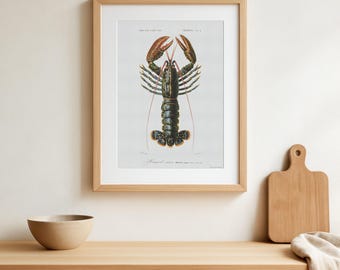 Vintage Hummer Druck - 1849 Antike Illustration, Homarus vulgaris