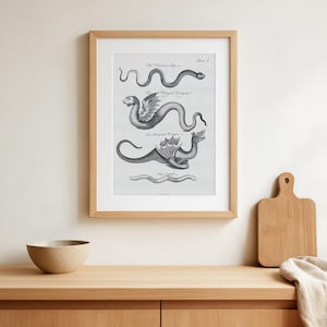 Könnte beinhalten: Ein gerahmter Schwarz-Weiß-Druck mit Illustrationen verschiedener Fabelwesen, darunter Drachen und Schlangen. Der Druck befindet sich in einem hellen Holzrahmen und wird auf einer Holzoberfläche präsentiert. Eine kleine, beige Schüssel befindet sich im Vordergrund.
