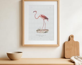 Pinker Flamingo Druck, Tropische Wandkunst, Vintage Vogel Dekor