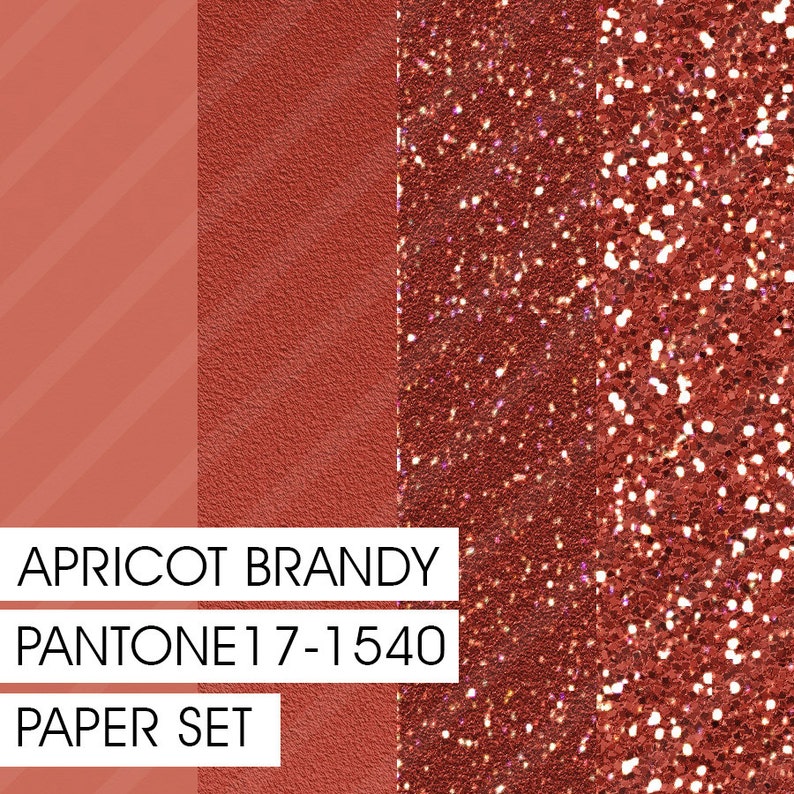 PANTONE Apricot Brandy 171540 MARSALA Color Pairings Set 05 Etsy