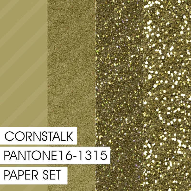 PANTONE Cornstalk 16-1315 List price MARSALA Color 03 Pairings Set OFFer