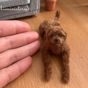 Dollhouse Miniature Dog Pet Animal in 1:12th Scale &quot;Björn&quot;