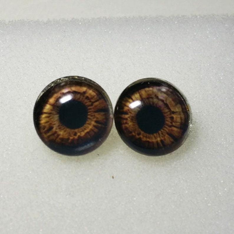 Taxidermy Glass Eyes Cabochons for Steampunk Jewelry Etsy