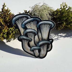 Oyster mushroom | vinyl sticker