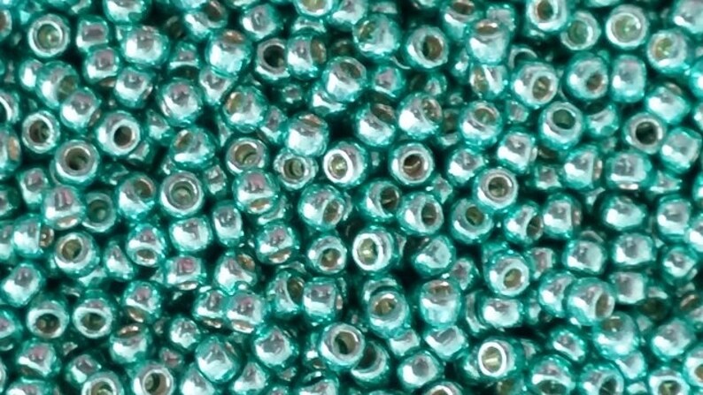 Toho 11/0 Japanesse Seed Beads TR-11-PF561 Color Permanent | Etsy