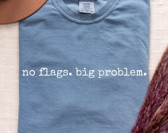 AI Agent Shirt, No Flags Big Problem, AI Ethics Gift, Developer T-Shirt, Cybersecurity Humor Tee