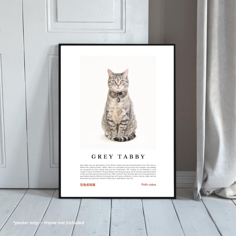 Grey Tabby Cat Wall Art, Watercolor Felis Catus Portrait, Museum-style ...