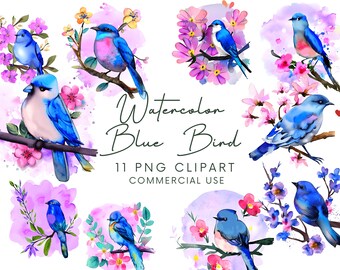Watercolor Blue Bird Clipart, Commercial Use PNG Clipart, Blue Bird Clipart, Nursery Art, Card Making, Animal Clipart, Digital Paper Craft