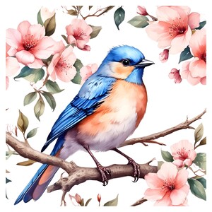 14 imágenes prediseñadas de pájaros de cerezo en flor, imágenes prediseñadas de pájaros PNG, imágenes prediseñadas de acuarela, diario basura, descarga digital, manualidades de papel, arte para uso comercial
