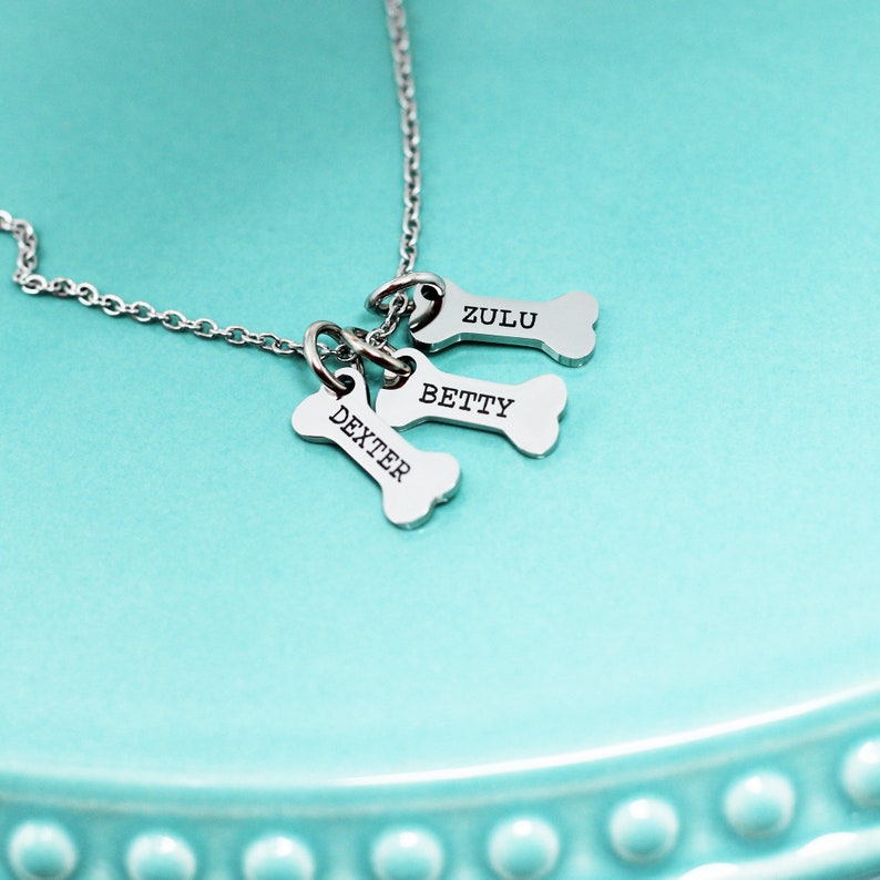 Dog Lover Gift for Dog Lovers Jewelry with Dog Name Necklace Personalized Pet Memorial Necklace for Dog Mom Necklace Dog Name Jewelry image 2