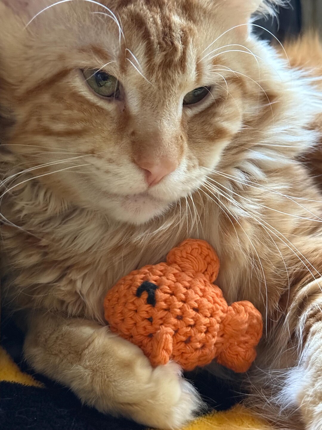Crochet Catnip Fish Toy - Etsy