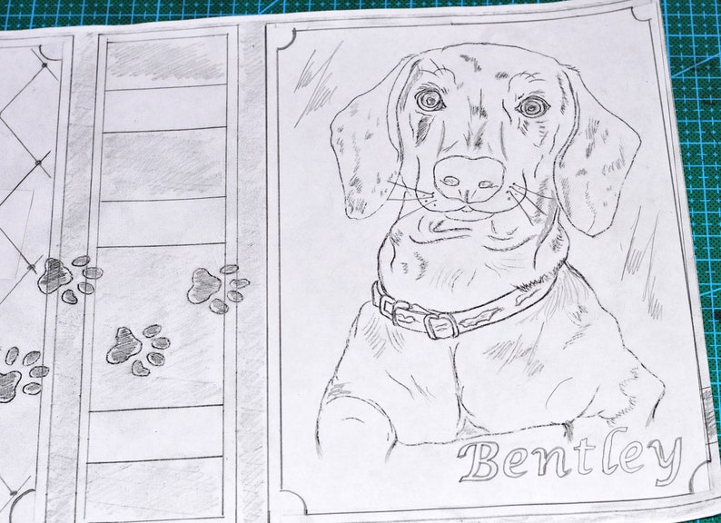 May include: A black and white pencil drawing of a dog named Bentley. The dog is a dachshund with a collar and is looking directly at the viewer.