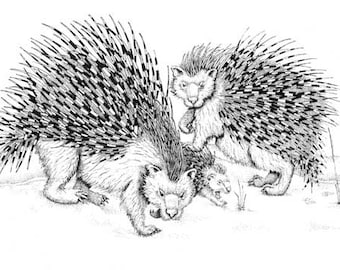 Porcupines in the snow print