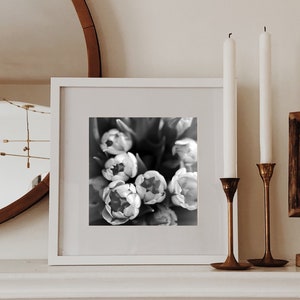 Tulipes en noir et blanc - Photo fleurs noir et blanc - Affiche photo botanique - Affiche tulipes grand format - Photographie de la nature