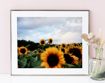 Fotografía de girasoles: Póster de girasoles, decoración botánica para pared, arte floral