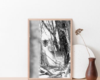 Hirsch Art Print: Schwarz & Weiß Wildfotografie, Hirsch im verschneiten Wald, individuell gestaltetes Giclee Poster