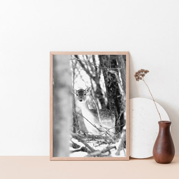 Black and white baby deer art print - Snowy deer print - Wildlife photography - Nature photo giclee print - Doe in forest - Cottage decor