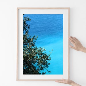 Feuilles d'olivier et mer bleue - Nice Côte d'azur décor méditerranéen - Affiche plage bord de mer sud de France - Photographie de nature