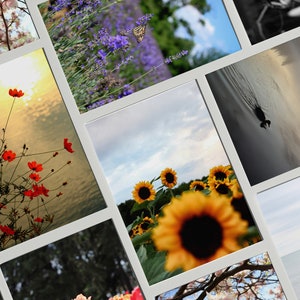 Ensemble de 5 cartes de souhaits - Photographies de fleurs - Cartes pliées 5x7 enveloppes blanches - Photos botaniques - Paquet de cartes