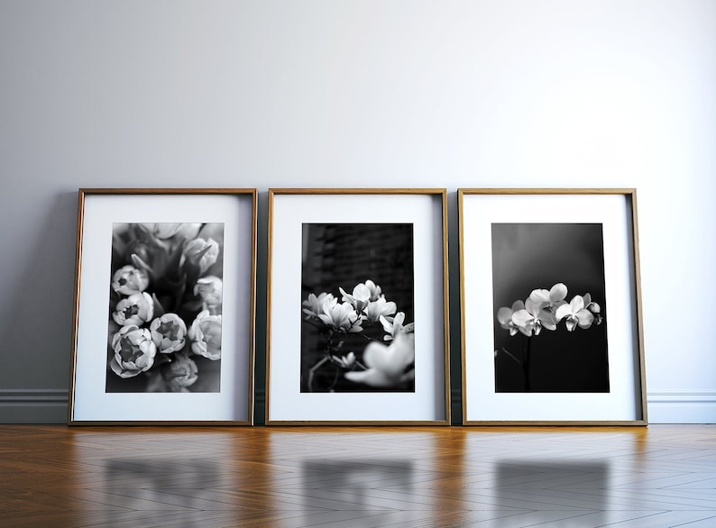 Black and white botanical art prints  Floral wall art  Black image 1