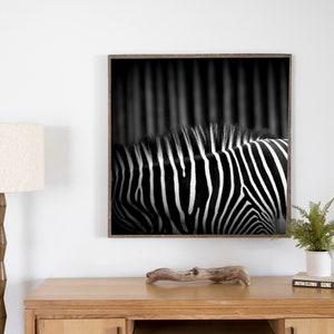 Zèbre macro noir et blanc - Détail de zèbre - Art photo abstrait - Décor minimaliste contemporain - Photographie animaux - Chambre de bébé