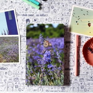 Carnet de notes / Cahier personnalisé / Papillon dans champs de lavande au Quebec / Journal de voyage / Livre pour recettes