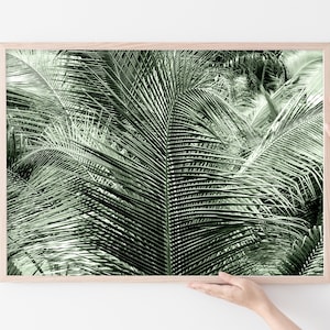 Photographie minimaliste palmier en couleur - Décor tropical boho - Art abstrait contemporain - Photographie de voyage - Art botanique