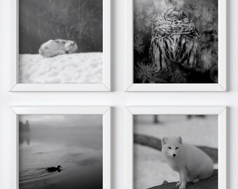 Black & white nature fine-art photography prints, Animal art prints, Christmas gift set, Gallery wall set, Square prints, Small art prints