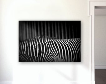Black and white abstract photography - Zebra nature art - Zebra photography acrylic plexiglass, canvas, metal, wood - Living room wall decor