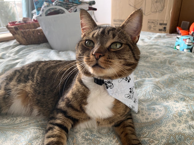 Mickey /& Minnie Pet Bandanna