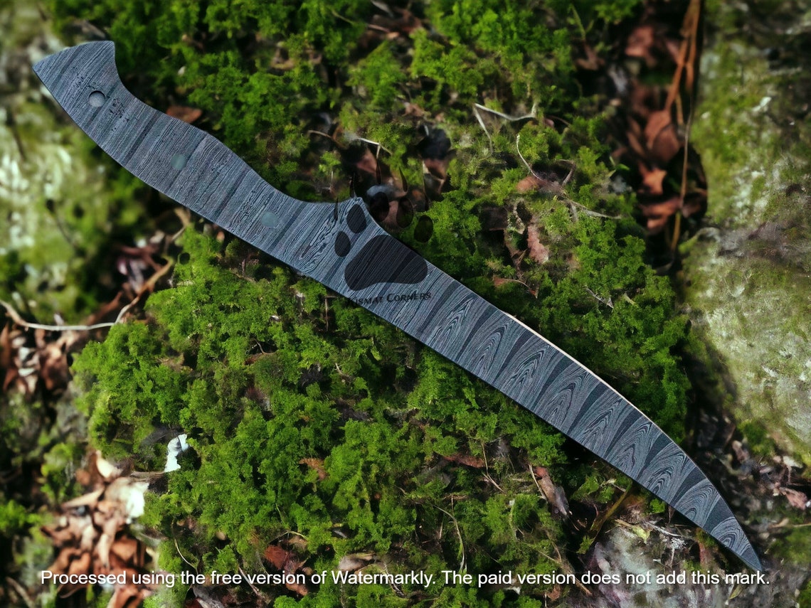 Hand Damascus Fillet Knife, Blank Blade Knife, BBQ Knives