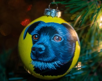 Custom Painted Pet Portrait Ornament - 1 Pet