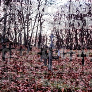May include: A cemetery with a large cross in the centre surrounded by many smaller crosses. The cemetery is covered in fallen leaves.