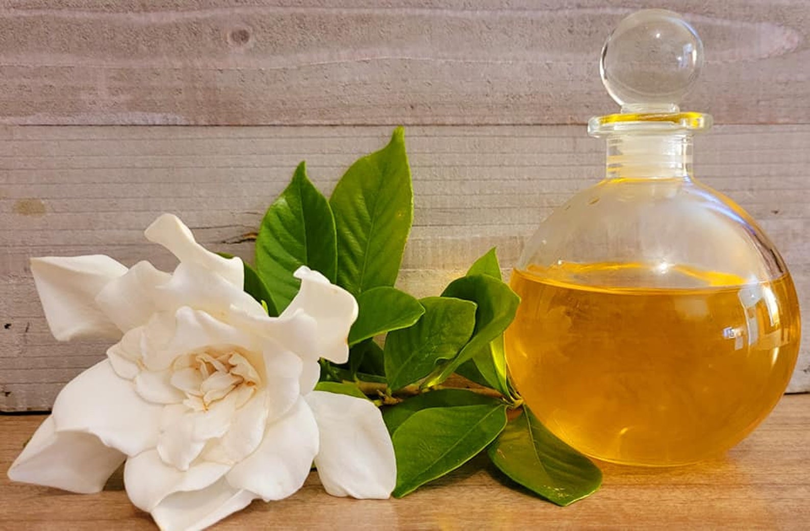 Gardenia Maceration Essential Oil 15ml Extremely RARE Etsy
