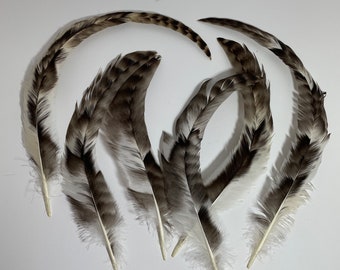 Cruelty free rooster tail feathers