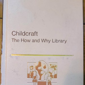 May include: A white book with gold lettering that reads "Childcraft The How and Why Library". The cover features a brown illustration of three people looking at artwork in a museum.