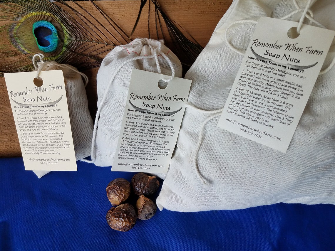 Soap Nuts berries Natural Green Laundry Sample Bag - Etsy