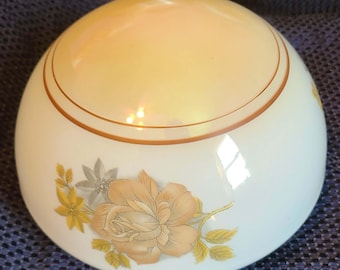 Vintage Antique Glass Light Globe - Milk Glass - Iridescent - Flowers