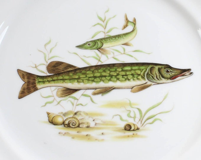 Vintage. Fish Plate Dishes From the 60s Seltmann Bavaria Germany