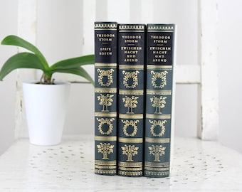 Vintage Bücher Kollektion - alte BÜCHER Deutsche Bücher Dekoration Theodor Storm Novellen, 3 Bände: