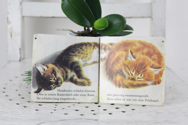 K&ouml;nnte beinhalten: Ein altes Kinderbuch mit einer bunten Illustration von zwei schlafenden Katzen. Der Text auf der Seite lautet "Hauskatzen schlafen hinterm Ofen in einem Katzenkorb oder einer Kiste. Sie schlafen lang ausgestreckt... oder ganz eng zusammengerollt. Dann sehen sie aus wie eine Pelzkugel."