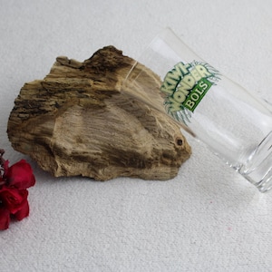 6 Stück Kiwiwonder Bols Gläser 90er Jahre Schnapsgläser Whisky Gläser Bar Ausstattung Party Gläser Saft Gläser