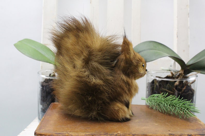 Real Hair Stuffed Animal Squirrel Figure Stiff Doll Collectible Figures