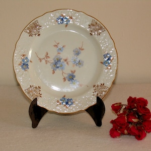 Beautiful antique Bavaria porcelain plate Schumann Bavaria porcelain with gold rim and flower pattern handmade