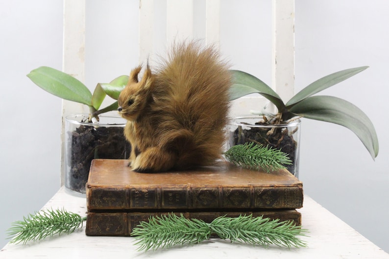 Real Hair Stuffed Animal Squirrel Figure Stiff Doll Collectible Figures